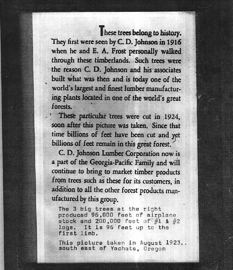 Building Supplies Stayton, OR, Salem, OR Stayton Builders Mart Inc